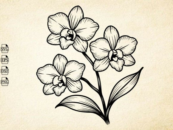 Download Orchid Flower Svg, Orchid Silhouette - Silhouette Collection
