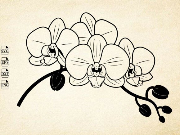Download Orchid Flower Svg, Orchid Silhouette - Silhouette Collection