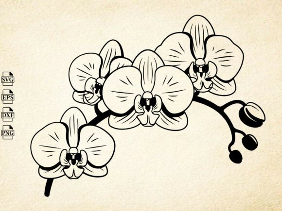 Download Orchid Flower Svg, Orchid Silhouette - Silhouette Collection