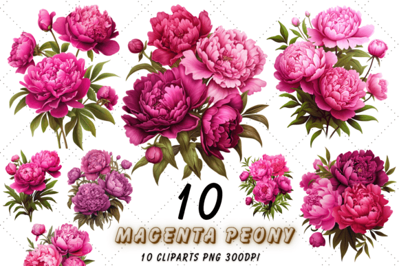Download Magenta Peony Floral Sublimation Clipart - Floral sublimation Collection