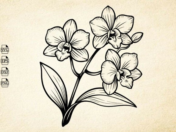 Download Orchid Flower Svg, Orchid Silhouette - Silhouette Collection