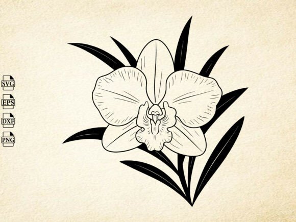 Download Orchid Flower Svg, Orchid Silhouette - Silhouette Collection