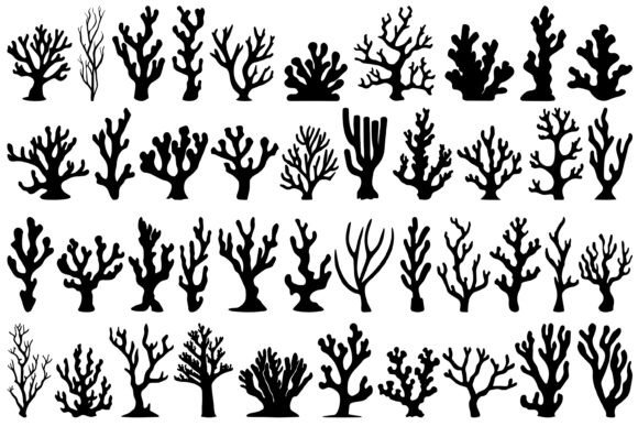 Download Coral Silhouette - Silhouette Collection