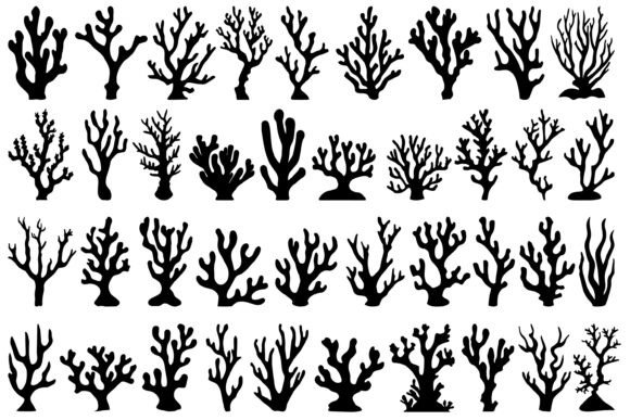 Download Coral Silhouette Vector - Silhouette Collection