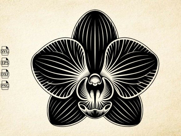 Download Orchid Flower Svg, Orchid Silhouette - Silhouette Collection