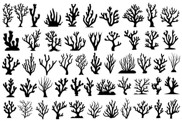 Download Coral Silhouette - Silhouette Collection