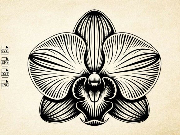 Download Orchid Flower Svg, Orchid Silhouette - Silhouette Collection